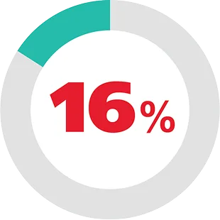16%